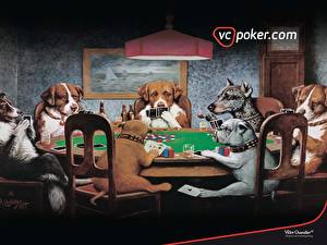 Фото Собака Смешные