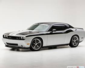 Фотографии Додж Dodge Challenger Автомобили