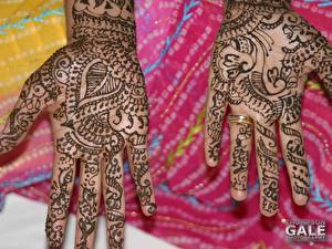 Фотографии Крупным планом Пальцы Руки девушка