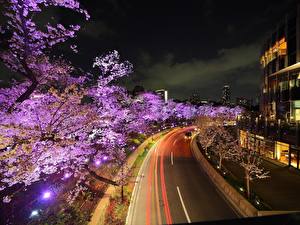 Фото Япония Токио Дороги Города