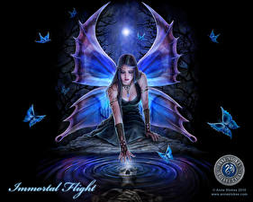 Фотография Anne Stokes Фантастика