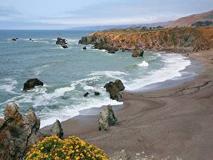 Фотографии Побережье Бухта Bodega Bay, California Природа