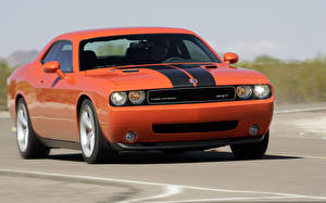 Фотография Dodge Dodge Challenger Автомобили