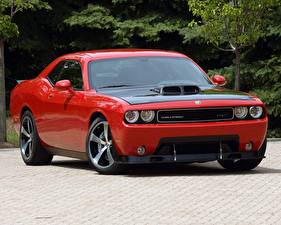 Фото Dodge Dodge Challenger Автомобили