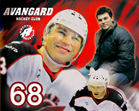 Обои Хоккей