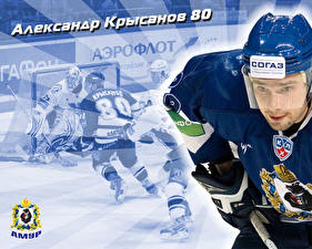 Фотографии Хоккей спортивный