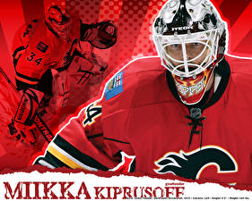 Фото Хоккей спортивные