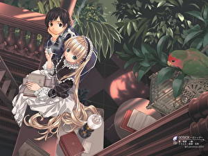 Фотографии Gosick