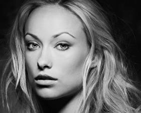 Картинка Olivia Wilde