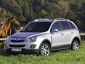 Картинка Opel opel antara Автомобили