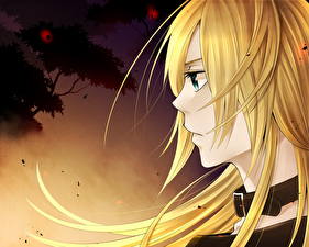 Фотография Vocaloid Аниме