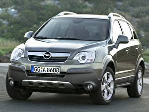 Картинки Opel antara автомобиль