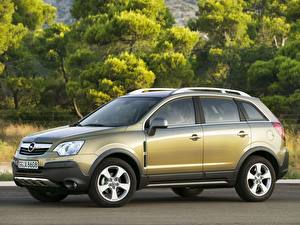 Картинка Опель antara автомобиль