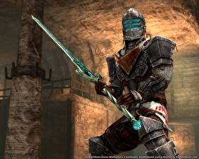 Обои Dragon Age Dragon Age II компьютерная игра