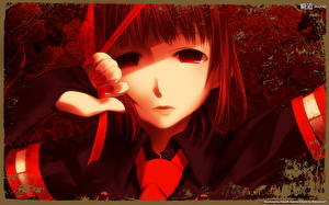 Фото Idolmaster Xenoglossia