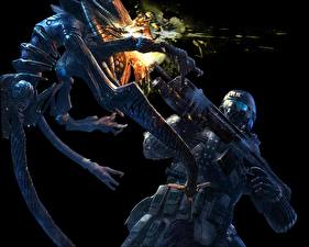 Фотографии Crysis Crysis 1 Игры