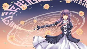 Картинка Touhou Collection