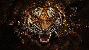 Картинка Большие кошки Тигры Ярость тигра