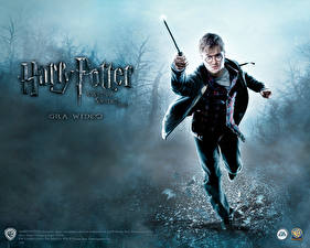 Фото Гарри Поттер - Игры Гарри соло с палочкой Игры