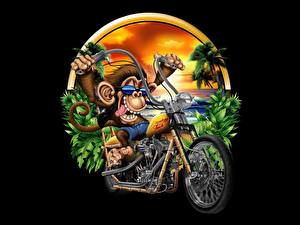 Обои обезьяна на мотоцикле