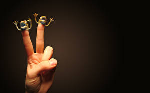 Фотографии Пальцы игрушки на пальцах Юмор