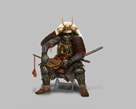 Фотография Shogun китайский воин с мечами
