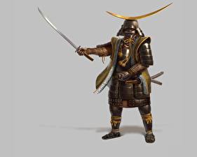 Картинки Shogun китайский воин с мечами компьютерная игра