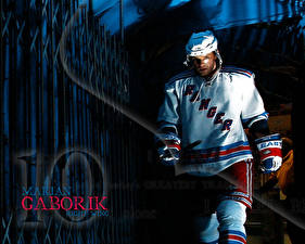 Картинки Хоккей Marian Gaborik