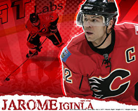 Картинка Хоккей JAROME IGINLA спортивная