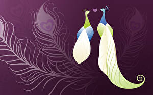 Фотография Векторная графика Птица Павлины животное