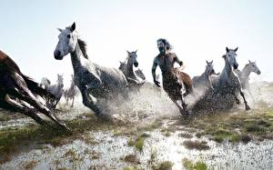Фотография Кентавры бежит рядом с кобылами Фэнтези
