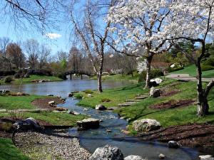 Фотографии Времена года Весна ручеек в парке Природа