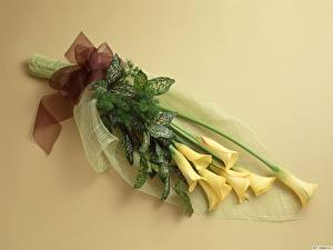 Картинки Белокрыльник букет желтых каллов цветок