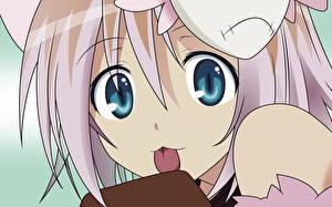 Фотографии Yumekui Merry