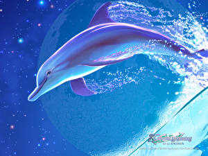 Картинки KAGAYA дельфин выпрыгивает из воды Фантастика