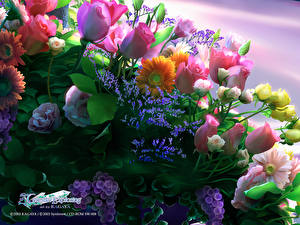 Фото KAGAYA красивые цветы Фантастика