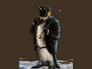 Фотография Пингвины пингвин в костюме