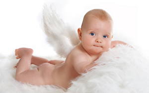 Фотографии Младенцы Крылья Взгляд ангел с крылышками Дети