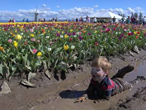Фотографии Тюльпан Поля Мальчик Грязь валяется в грязи среди тюльпанов Дети