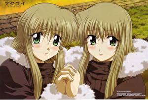 Фотографии Futakoi Alternative близняшки держатся за руки