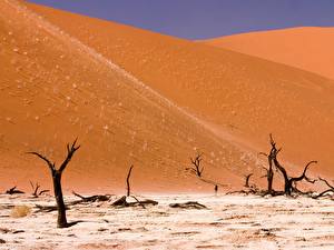 Фотография Пустыня Namibia Природа