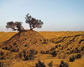 Картинки Пустыня Taklamakan Desert China