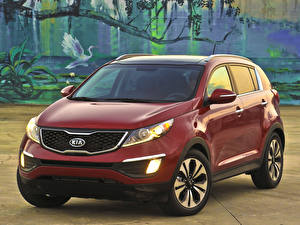 Фотографии KIA sportage красная Автомобили