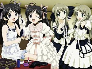 Обои для рабочего стола Futakoi Alternative Аниме