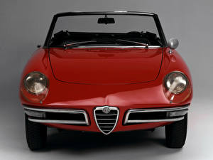Картинки Alfa Romeo Alfa Romeo 1600 Spider Duetto авто
