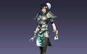 Фотография Dynasty Warriors компьютерная игра
