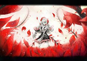 Фото Мерри пожирательница снов