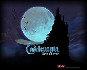 Обои для рабочего стола Castlevania Castlevania: Dawn of Sorrow компьютерная игра