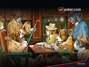 Фото собаки играют в покер