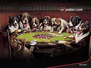 Картинка собаки играют в покер